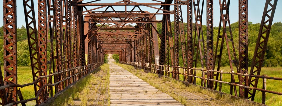 Minnesota Wild Game Photography