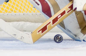 Minnesota Wild Game Photography